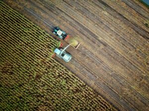 What is Agronomy?
