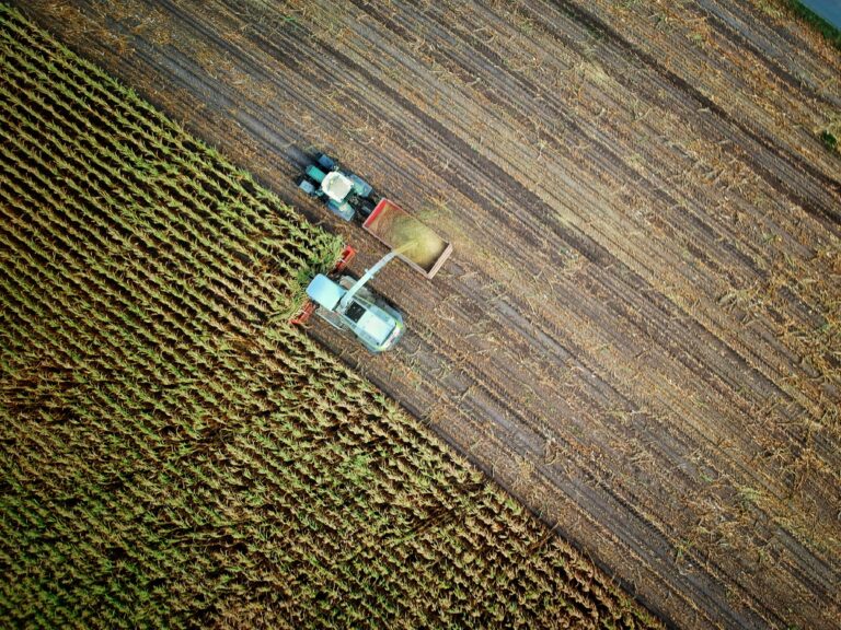 What is Agronomy?